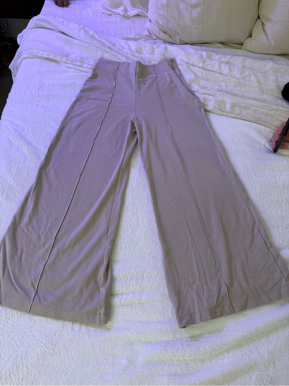 Quince pont pant Wide Leg High-Rise Pants in Cream